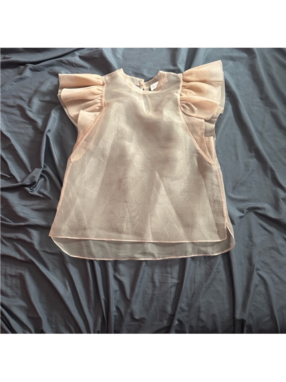 Jonathan Simkhai Sheer Ruffle Sleeve Top